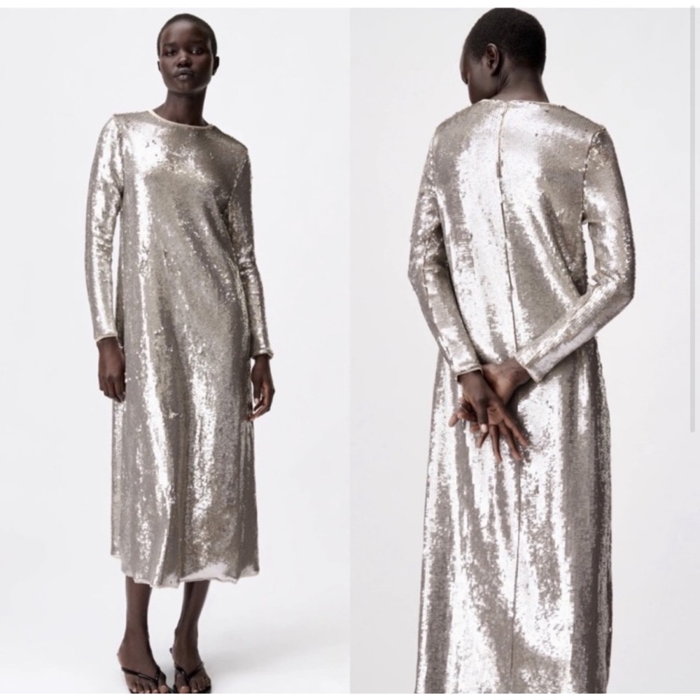 Elegant Silver Sequin Dress